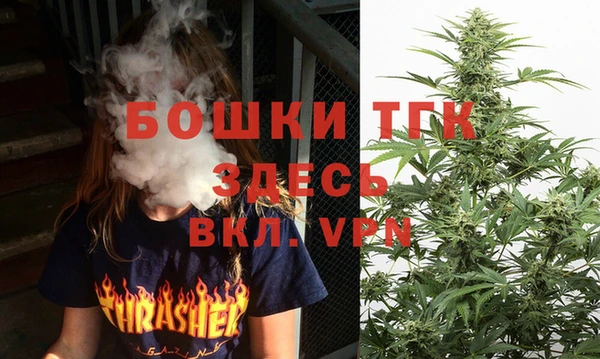 сатива Тавда